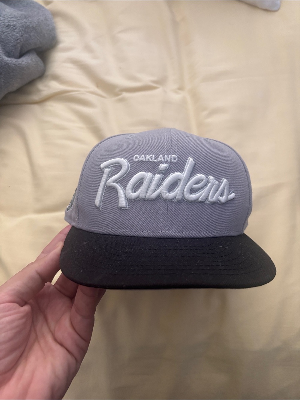 Riders by Lee Raiders Patch Snapback Hat - Light Gray & Black